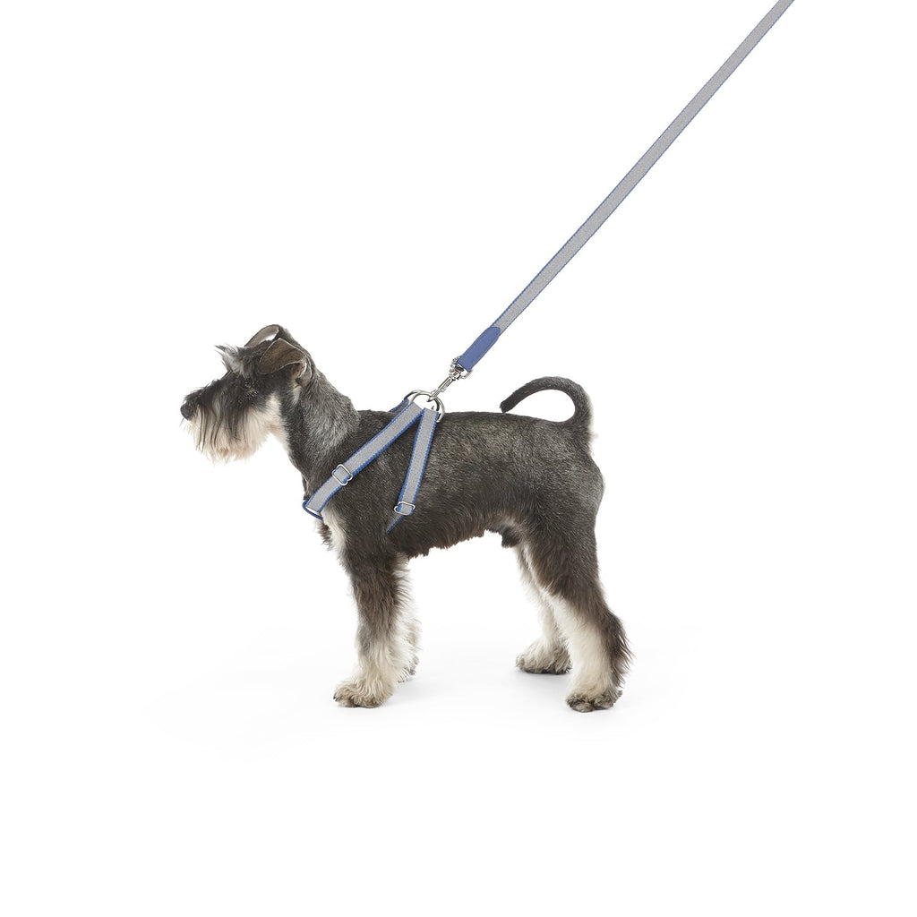 Ring Dog Harness Preppy