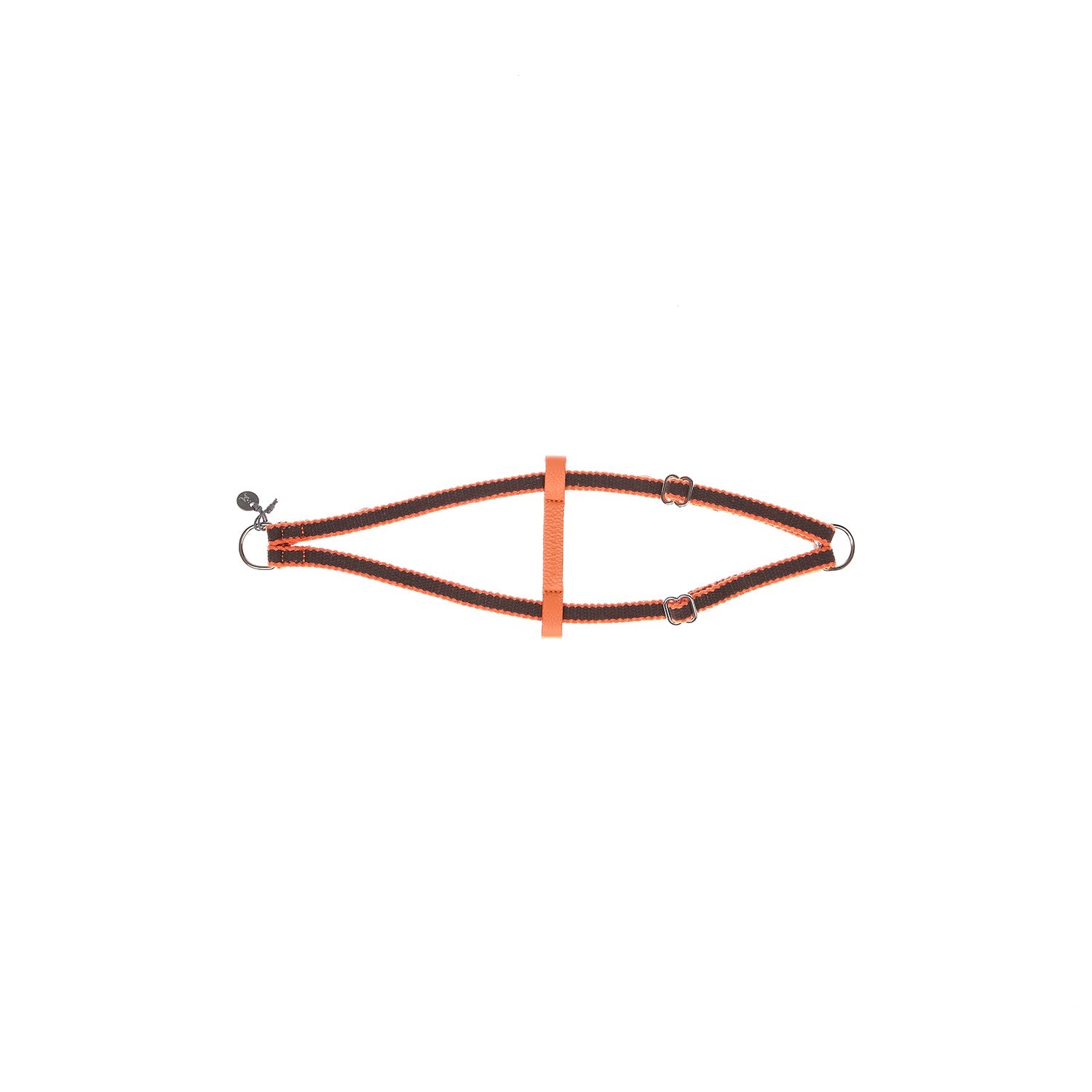 Ring Dog Harness Preppy