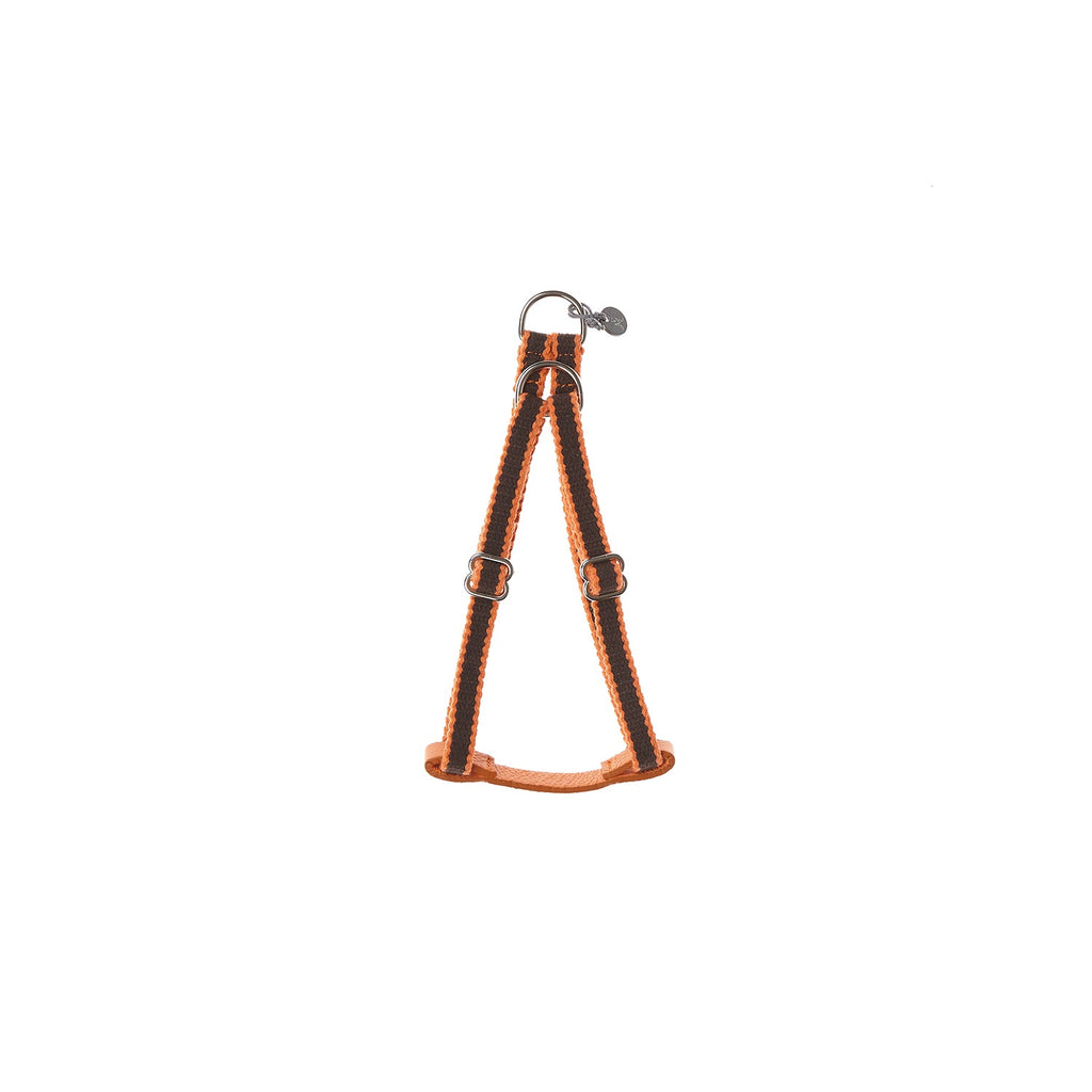 Ring Dog Harness Preppy