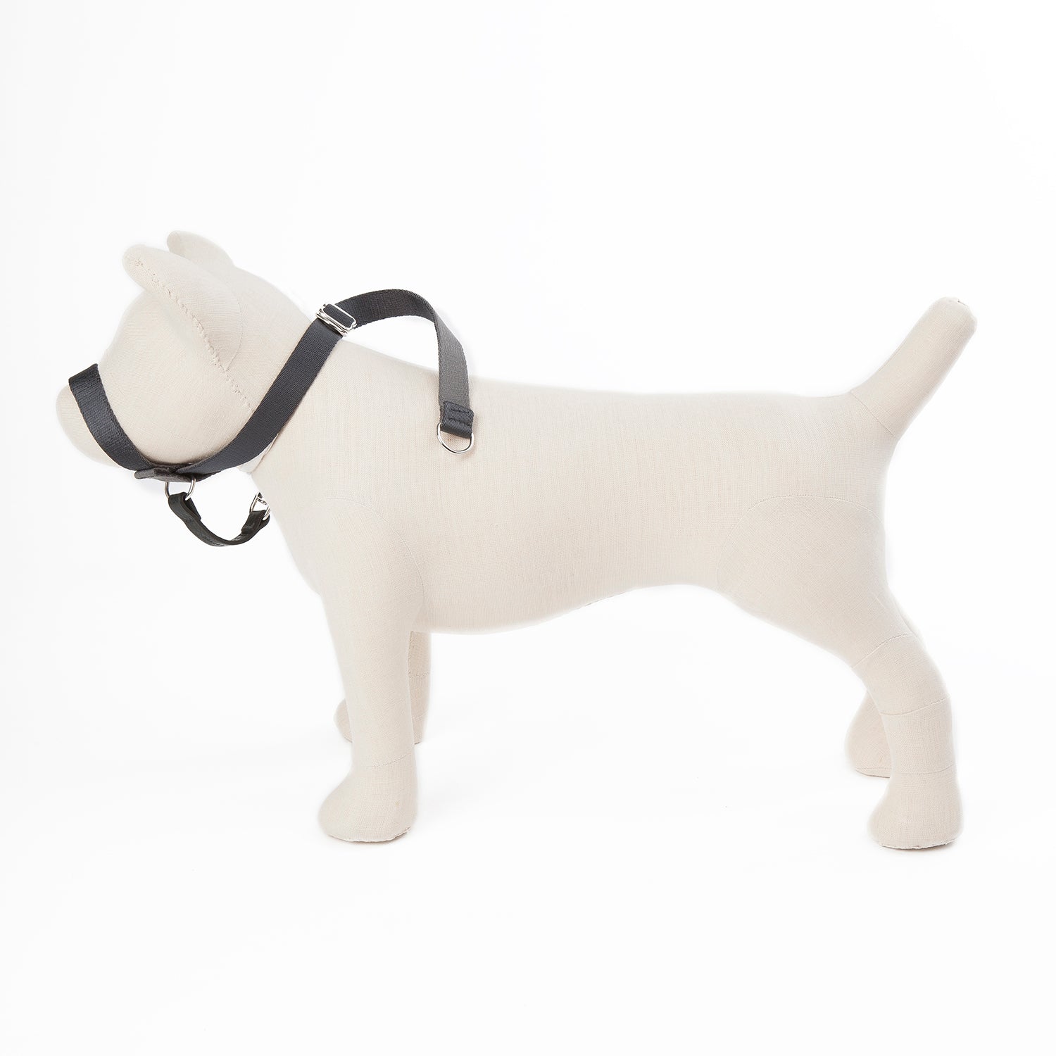 Follow My Lead - Head