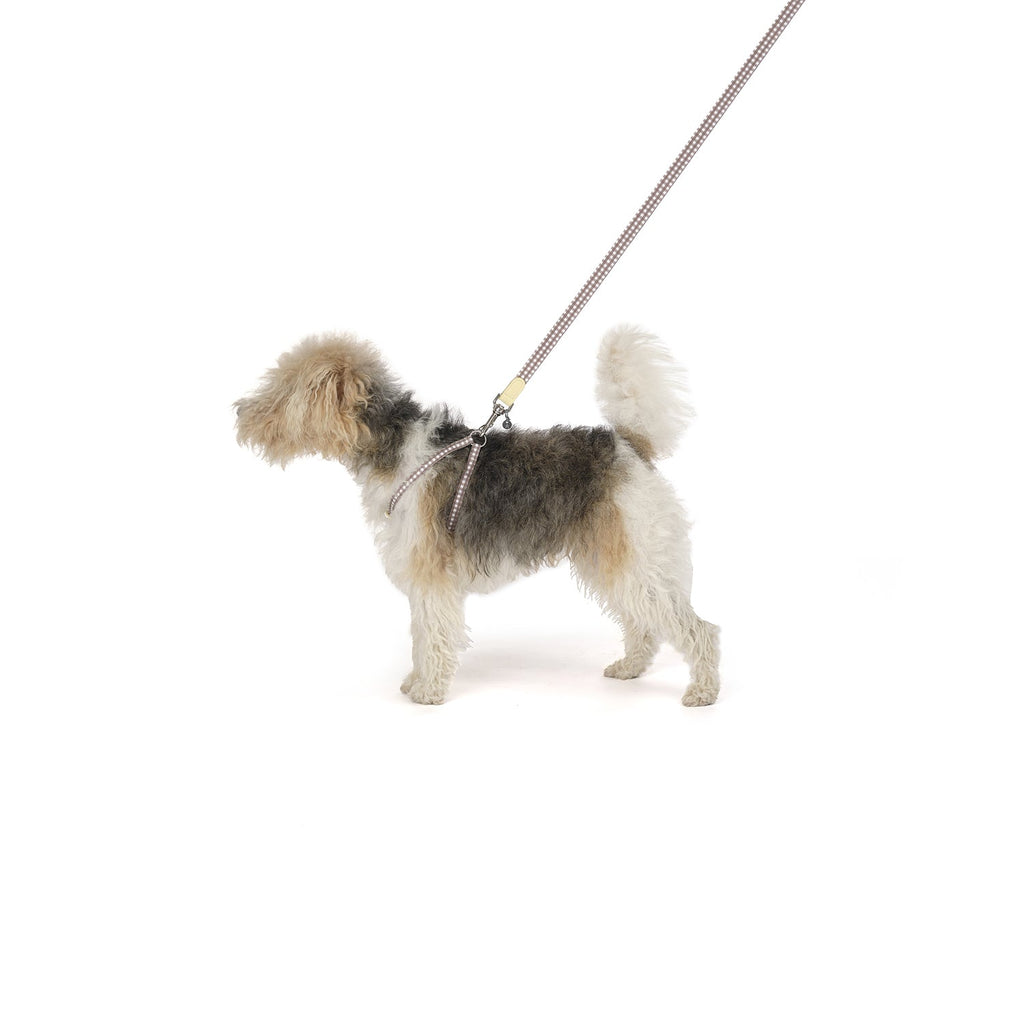 Ring Dog Harness Clara Check